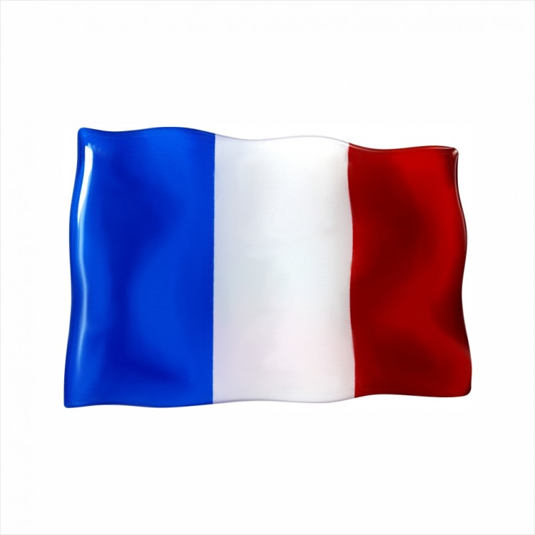 75 x 50 mm Iškilus polimerinis lipdukas Prancuzijos vėliava