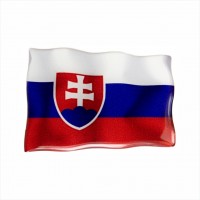 75 x 50 mm Iškilus polimerinis lipdukas Slovakijos vėliava