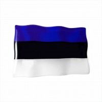 75 x 50 mm Iškilus polimerinis lipdukas Estijos vėliava