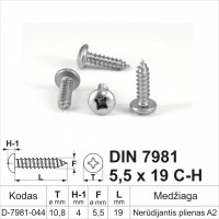 DIN 7981 5,5x19 C-H Nerūdijantis plienas A2 Savisriegiai metalui pusapvalia galvute, savisriegis (sraigtai)